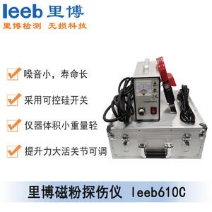 世界杯官方网页版leeb610C 磁粉探伤仪