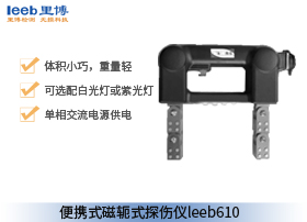 世界杯官方网页版便携式磁轭式探伤仪 leeb610